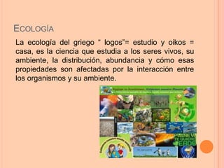 ECOLOGÍA
La ecología del griego “ logos”= estudio y oikos =
casa, es la ciencia que estudia a los seres vivos, su
ambiente, la distribución, abundancia y cómo esas
propiedades son afectadas por la interacción entre
los organismos y su ambiente.

 