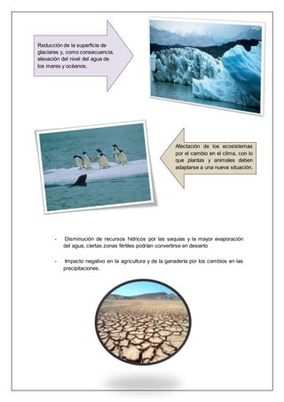 - Disminución de recursos hídricos por las sequías y la mayor evaporación
del agua, ciertas zonas fértiles podrían convertirse en desierto
- Impacto negativo en la agricultura y de la ganadería por los cambios en las
precipitaciones.
Reducción de la superficie de
glaciares y, como consecuencia,
elevación del nivel del agua de
los mares y océanos.
Afectación de los ecosistemas
por el cambio en el clima, con lo
que plantas y animales deben
adaptarse a una nueva situación.
 