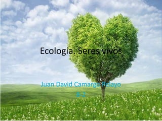 Ecología. Seres vivos
Juan David Camargo Pelayo
8-2
 