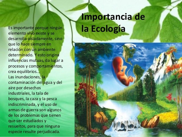 Ecología