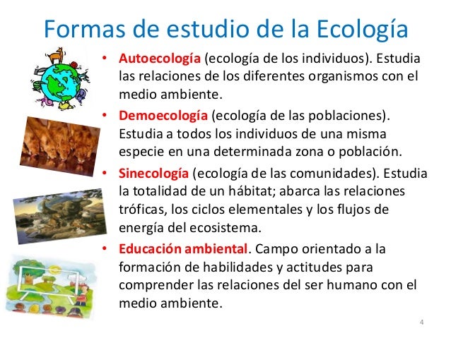 Ecología