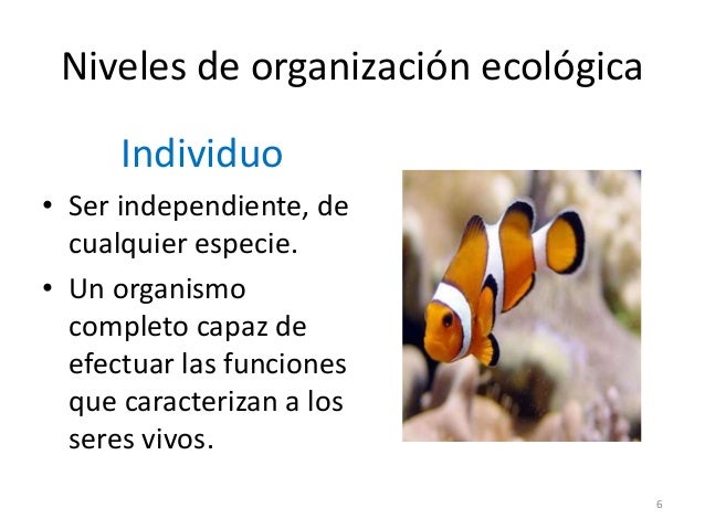 Ecología
