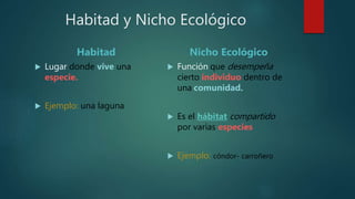 Habitad y Nicho Ecológico
Habitad
 Lugar donde vive una
especie.
 Ejemplo: una laguna
Nicho Ecológico
 Función que desempeña
cierto individuo dentro de
una comunidad.
 Es el hábitat compartido
por varias especies
 Ejemplo: cóndor- carroñero
 