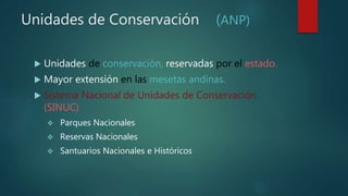Unidades de Conservación (ANP)
 Unidades de conservación, reservadas por el estado.
 Mayor extensión en las mesetas andinas.
 Sistema Nacional de Unidades de Conservación
(SINUC)
 Parques Nacionales
 Reservas Nacionales
 Santuarios Nacionales e Históricos
 