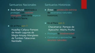 Santuarios Nacionales
 Área Natural destinada a
proteger con carácter
intangible una cierta especie
de flora o fauna.
 En el Perú son 7:
Huayllay-Calipuy-Pampas
de Heath-Lagunas de
Megia-Ampay-Manglares
de Tumbes-Tabaconas
Namballe
Santuarios Históricos
 Áreas de protección estricta
de escenarios naturales
históricos.
 En el Perú son 3:
Chacamarca- Pampas de
Ayacucho- Machu Picchu
 Protegen la biodiversidad
 Conservar y aprovechar los
recursos naturales.
 