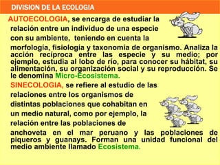 11
DIVISION DE LA ECOLOGIA
AUTOECOLOGIA, se encarga de estudiar la
relación entre un individuo de una especie
con su ambiente, teniendo en cuenta la
morfología, fisiología y taxonomía de organismo. Analiza la
acción recíproca entre las especie y su medio; por
ejemplo, estudia al lobo de río, para conocer su hábitat, su
alimentación, su organización social y su reproducción. Se
le denomina Micro-Ecosistema.
SINECOLOGIA, se refiere al estudio de las
relaciones entre los organismos de
distintas poblaciones que cohabitan en
un medio natural, como por ejemplo, la
relación entre las poblaciones de
anchoveta en el mar peruano y las poblaciones de
piqueros y guanays. Forman una unidad funcional del
medio ambiente llamado Ecosistema.
 