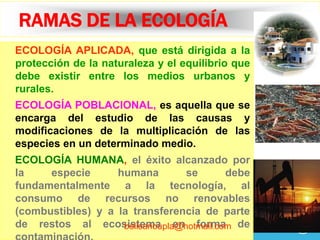 12
RAMAS DE LA ECOLOGÍA
ECOLOGÍA APLICADA, que está dirigida a la
protección de la naturaleza y el equilibrio que
debe existir entre los medios urbanos y
rurales.
ECOLOGÍA POBLACIONAL, es aquella que se
encarga del estudio de las causas y
modificaciones de la multiplicación de las
especies en un determinado medio.
ECOLOGÍA HUMANA, el éxito alcanzado por
la especie humana se debe
fundamentalmente a la tecnología, al
consumo de recursos no renovables
(combustibles) y a la transferencia de parte
de restos al ecosistema en forma debelisarioupla@hotmail.com
 