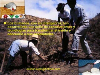 18
 Los humanos, con su inteligencia, han
desarrollado una serie de conocimientos y
tecnologías para transformar el medio y
adecuarlo a sus necesidades.
belisarioupla@hotmail.com
 