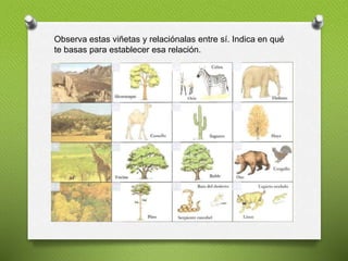 Observa estas viñetas y relaciónalas entre sí. Indica en qué
te basas para establecer esa relación.
 