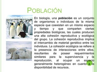 POBLACIÓN
 En biología, una población es un conjunto
de organismos o individuos de la misma
especie que coexisten en un mismo espacio
y tiempo y que comparten ciertas
propiedades biológicas, las cuales producen
una alta cohesión reproductiva y ecológica
del grupo. La cohesión reproductiva implica
el intercambio de material genético entre los
individuos. La cohesión ecológica se refiere a
la presencia de interacciones entre ellos,
resultantes de poseer requerimientos
similares para la supervivencia y la
reproducción, al ocupar un espacio
generalmente heterogéneo en cuanto a la
disponibilidad de recursos.
 