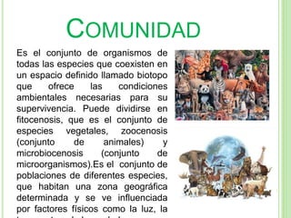 COMUNIDAD
Es el conjunto de organismos de
todas las especies que coexisten en
un espacio definido llamado biotopo
que ofrece las condiciones
ambientales necesarias para su
supervivencia. Puede dividirse en
fitocenosis, que es el conjunto de
especies vegetales, zoocenosis
(conjunto de animales) y
microbiocenosis (conjunto de
microorganismos).Es el conjunto de
poblaciones de diferentes especies,
que habitan una zona geográfica
determinada y se ve influenciada
por factores físicos como la luz, la
 