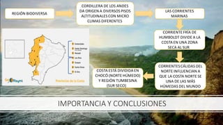 IMPORTANCIA Y CONCLUSIONES
REGIÓN BIODIVERSA
CORDILLERA DE LOS ANDES
DA ORIGEN A DIVERSOS PISOS
ALTITUDINALES CON MICRO
CLIMAS DIFERENTES
LAS CORRIENTES
MARINAS
CORRIENTEFRÍA DE
HUMBOLDT DIVIDE A LA
COSTA EN UNA ZONA
SECA AL SUR
CORRIENTESCÁLIDAS DEL
NORTE INFLUENCIAN A
QUE LA COSTA NORTE SE
UNA DE LAS MÁS
HÚMEDAS DEL MUNDO
COSTA ESTÁ DIVIDIDA EN
CHOCÓ (NORTE HÚMEDO)
Y REGIÓN TUMBESINA
(SUR SECO)
 