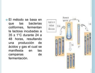 El método se basa en
que las bacterias
coliformes, fermentan
la lactosa incubadas a
35 ± 1°C durante 24 a
48 horas, resultando
una producción de
ácidos y gas el cual se
manifiesta en las
campanas de
fermentación.
 