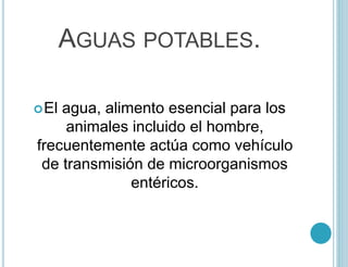 AGUAS POTABLES.
El agua, alimento esencial para los
animales incluido el hombre,
frecuentemente actúa como vehículo
de transmisión de microorganismos
entéricos.
 