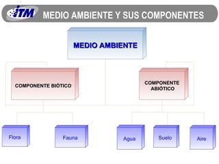 MEDIO AMBIENTE Y SUS COMPONENTES MEDIO AMBIENTE COMPONENTE BIÓTICO COMPONENTE ABIÓTICO Flora Agua Suelo Aire Fauna 