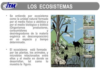LOS  ECOSISTEMAS Se entiende por ecosistema como la unidad natural formada por el medio físico o abiótico y por el medio biológico o biótico (Organismos productores, consumidores y desintegradores de la materia orgánica en descomposición) en un espacio y tiempo determinado. El ecosistema  está formado  por las plantas, los animales, y microbios relacionados entre ellos y el medio en donde se desarrollan, tal como lo muestra la  figura. 