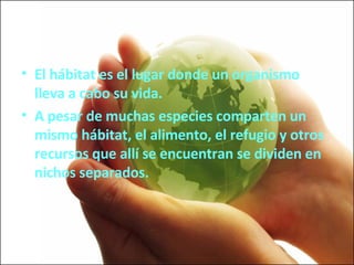 El hábitat es el lugar donde un organismo lleva a cabo su vida.  A pesar de muchas especies comparten un mismo hábitat, el alimento, el refugio y otros recursos que allí se encuentran se dividen en nichos separados. 