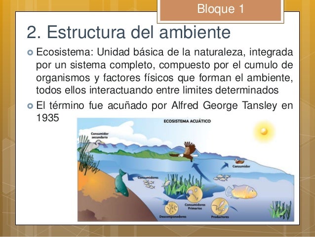 Ecología bloque 1 3