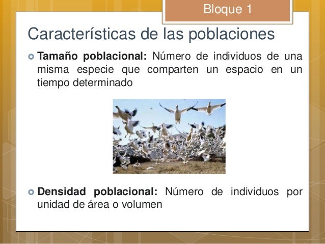 Características de las poblaciones 1
