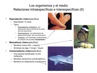 Los organismos y el medio
         Relaciones intraespecíficas e interespecíficas (II)

•   Depredación (interespecífica)
     –   Depredador  presa
     –   Tipos:
           •   Depredadores verdaderos: con
               eliminación total o parcial de la presa.
               Son los carnívoros.
           •   Ramoneadores: con eliminación de
               partes de la presa. Son los herbívoros.
           •   Parásitos: con interesado sostenimiento
               en precario de la presa (hospedador)
•   Mutualismo (interespecífica)
     –   Beneficio mútuo (flor + insecto)
     –   Simbiosis de alga + hongo = líquen
•   Comensalismo (interespecífica)
     –   Una especie beneficiada, la otra
         indiferente
     –   Beneficio alimentício (comensalismo)
     –   Beneficio en alojamiento (inquilinismo)
 