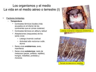 Los organismos y el medio
    La vida en el medio aéreo o terrestre (I)

•     Factores limitantes
       –   Temperatura
             • Contrastes térmicos locales (más
               acusados en el interior de los
               continentes que en zonas costeras)
             • Contrastes térmicos en altitud y latitud    Letargo invernal en metazoos endotermos
             • Adaptaciones (respuestas) de los
               seres vivos:
                  – Letargo invernal o estival
                  – Actividad sólo nocturna o sólo
                     diurna
             • Seres vivos endotermos: aves,
               mamíferos
             • Seres vivos ectotermos: resto de
               metazoos (peces, anfibios, reptiles),
               hongos, metafitas, protistas y
               moneras

                                                          Período de latencia en metafitas
 