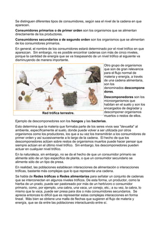 Se distinguen diferentes tipos de consumidores, según sea el nivel de la cadena en que
aparecen.
Consumidores primarios o de primer orden son los organismos que se alimentan
directamente de los productores.
Consumidores secundarios o de segundo orden son los organismos que se alimentan
de los consumidores primarios.
En general, el nombre de los consumidores estará determinado por el nivel trófico en que
aparezcan. Sin embargo, no es posible encontrar cadenas con más de cinco niveles,
porque la cantidad de energía que se va traspasando de un nivel trófico al siguiente va
disminuyendo de manera importante.
Otro grupo de organismos
que son de gran relevancia
para el flujo normal de
materia y energía, a través
de una cadena alimentaria,
son los
denominados descompone
dores.
Descomponedores son los
microorganismos que
habitan en el suelo y son los
encargados de degradar y
descomponer organismos
muertos o restos de ellos.
Ejemplo de descomponedores son los hongos y las bacterias.
Esto determina que la materia que formaba parte de los seres vivos sea "devuelta" al
ambiente, específicamente al suelo, donde puede volver a ser utilizada por otros
organismos como los productores, los que a su vez los transmitirán a los consumidores de
primer orden y así sucesivamente a lo largo de la cadena. El hecho de que los
descomponedores actúen sobre restos de organismos muertos puede hacer pensar que
siempre actúan en el último nivel trófico. Sin embargo, los descomponedores pueden
actuar en cualquier nivel trófico.
En la naturaleza, sin embargo, no se da el hecho de que un consumidor primario se
alimente sólo de un tipo específico de planta, o que un consumidor secundario se
alimente sólo de un tipo de presa.
En realidad, las poblaciones establecen interacciones de alimentación o interacciones
tróficas, bastante más complejas que lo que representa una cadena.
Se habla de Redes tróficas o Redes alimentarias para señalar un conjunto de cadenas
que se interconectan en algunos niveles tróficos. De esta forma, un productor, como la
hierba de un prado, puede ser pastoreado por más de un herbívoro o consumidor
primario, como, por ejemplo, una cabra, una vaca, un conejo, etc.; a su vez, la cabra, lo
mismo que la vaca, puede ser presa para dos o más consumidores secundarios. Se
aprecia entonces lo difícil que es representar estas complejas interacciones en forma
lineal. Más bien se obtiene una malla de flechas que sugieren el flujo de materia y
energía, que se da entre las poblaciones interactuando entre sí.
Red trófica terrestre.
 