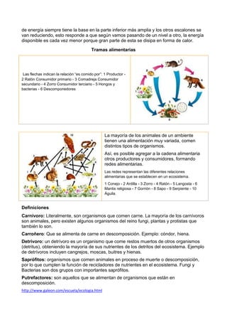 de energía siempre tiene la base en la parte inferior más amplia y los otros escalones se
van reduciendo, esto responde a que según vamos pasando de un nivel a otro, la energía
disponible es cada vez menor porque gran parte de esta se disipa en forma de calor.
Tramas alimentarias
Las flechas indican la relación “es comido por”: 1 Productor -
2 Ratón Consumidor primario - 3 Comadreja Consumidor
secundario - 4 Zorro Consumidor terciario - 5 Hongos y
bacterias - 6 Descomponedores
La mayoría de los animales de un ambiente
tienen una alimentación muy variada, comen
distintos tipos de organismos.
Así, es posible agregar a la cadena alimentaria
otros productores y consumidores, formando
redes alimentarias.
Las redes representan las diferentes relaciones
alimentarias que se establecen en un ecosistema.
1 Conejo - 2 Ardilla - 3 Zorro - 4 Ratón - 5 Langosta - 6
Mantis religiosa - 7 Gorrión - 8 Sapo - 9 Serpiente - 10
Águila.
Definiciones
Carnívoro: Literalmente, son organismos que comen carne. La mayoría de los carnívoros
son animales, pero existen algunos organismos del reino fungi, plantas y protistas que
también lo son.
Carroñero: Que se alimenta de carne en descomposición. Ejemplo: cóndor, hiena.
Detrívoro: un detrívoro es un organismo que come restos muertos de otros organismos
(detritus), obteniendo la mayoría de sus nutrientes de los detritos del ecosistema. Ejemplo
de detrívoros incluyen cangrejos, moscas, buitres y hienas.
Saprófitos: organismos que comen animales en proceso de muerte o descomposición,
por lo que cumplen la función de recicladores de nutrientes en el ecosistema. Fungi y
Bacterias son dos grupos con importantes saprófitos.
Putrefactores: son aquellos que se alimentan de organismos que están en
descomposición.
http://www.galeon.com/escuela/ecologia.html
 