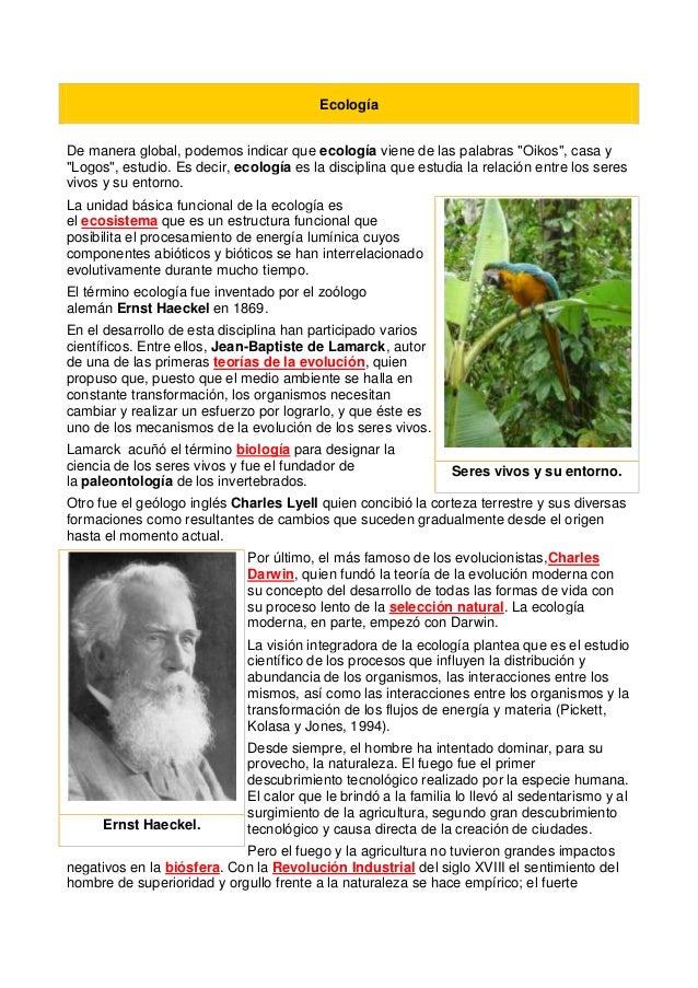 cadenas troficas ecologia ecolog 237 a cadena trofica cadenas troficas ecologia ecolog 237 a cadena trofica