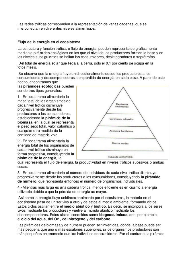 cadenas troficas ecologia ecolog 237 a cadena trofica cadenas troficas ecologia ecolog 237 a cadena trofica