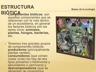Ecología conservación y ecosistemas unidad 1 | PPTX