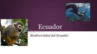 Ecuador
Biodiversidad del Ecuador
 