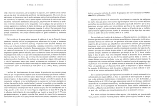 A. BELLO, 1. A. GONZÁLEZ
está solamente relacionada con la semilla o las especies, sino también con la cultura
agraria, es decir los métodos de gestión de los sistemas agrarios. El secrcto de una
agricullura no impactante con el medio ambiente está en la diversificación del siste-
ma a través de las especies y con la puesta a punto de técnicas de cullivo que tienen
en cuenta los factores ambientales. Por ejemplo, en protección de cultivos, no pode-
mos centrarnos únicamente cn los plaguicidas y en las plagas, hay que pensar en el
control agronómico mediante el diseño de técnicas que nos permitan, simplemente
modificando la temperatura o la humedad, manejar el cultivo. Hay que partir de un
manejo correcto del ambiente para que no tengamos que aplicar plaguicidas, no sólo
porque contaminan, sino porque además supone un gasto económico y amhiental
innecesario.
En los cultivos de papas sobre sustratos de jable en el sur de Tenerife, hemos
intentado controlar uno de los patógenos más importantes de la papa, el nematodo
formador de quistes (Globodera paLlida), empleando hasta dieciséis métodos dife-
rentes, que incluyen productos nematicidas, variedades resistentes, rotación de culti-
vos, plantas nematicidas y barbecho. Encontramos que si bien cuando sólo se tiene
en cuenta el crecimiento de las pohlaciones (PUPi) algunos de los métodos que
empleamos pueden parecer eficaces, pero si se tiene en cuenta los niveles absolutos
de patógenos en suelo, se ve que salvo en algunas excepciones, el número de indivi-
duos es muy alto. Es decir, que a través del conocimiento científico y técnico no
podemos resolver el problema. Sin embargo, los agricultores siguen cultivando papas
y esto es importante, puesto que, cuando un sistema está implantado es porque el
conocimiento campesino ha sahido controlarlo, ha sabido crear sistemas cerrados en
el subsistema aéreo o diversificar el suelo Bello et al. (1991), Bello y González
(1994).
La clave del funcionamiento de este sistema de producción en concreto parece
estar, en que los agricultores emplean unas técnicas de manejo que llaman "minado",
que consiste en utilizar el rotovator quince días antes de sembrar, con lo cual unifor-
mizan el suelo y lo dejan suelto, y luego riegan, "minan", con ello los quistes de los
nematodos patógenos y muy probablemente las esporas de los hongos patógenos e
incluso las semillas de las «malas hierhas", suben a la superficie y son retenidos por
las partículas de jable. Lo que ocurre cuando suben a la superficie los quistes, en esos
suelos blancos de los campos del sur de Tenerife es que, una vez humedecidos por el
riego, pueden en los meses de verano llegar a temperaturas de hasta 53 oC (Fig. 2),
y sabemos desde el punto de vista científico que cuando se pasa de los 45 oC estos
patógenos mueren y se pueden controlar. Este método de control de los nematodos
formadores de quistes en la papa, hasado en el conocimiento campesino, es equiva-
90
ECOI,OGíA DE SISTEMAS AGRARIOS
lente a los nuevos métodos de control de patógenos del suelo mediante la solarizaM
ción, Bello y González (1994).
Mediante las técnicas de solarización, no solamente se controlan los patógenos
del suelo, sino que genera otros valores agroecológicos como es el lavado del suelo
que influye en una disminución de la salinización, b(~a el pH, fenómeno que es muy
importante en estos suelos, por los problemas que hay en los suelos alcalinos de
"sarna de la papa", y lo que es aún de mayor interés, es el hecho de que se multipli-
que la materia orgánica por tres, debido al crecimiento de las algas bajo las condi-
ciones de aridez del sur de Tenerife, Bello et al. (1993).
Por otro lado, en el cultivo de la platanera en Canarias podemos encontramos con
sistemas que han funcionado con criterios agroecológicos, el agricultor ha ido selec-
cionando técnicas de cultivo que han permitido solucionar alguno de los aspectos
negativos del agrosistema que señalábamos: crear sistemas cerrados, y 10 que es más
importante crear suelos, simplemente saben manejar el ambiente. Los agricultores
nos han enseñado una agronomía sencilla, simplemente poniendo dos hojas de pla-
tanera ó una capa de acículas de pino sobre el suelo pueden, al contrario que en el
anterior ejemplo, mantener su temperatura por debajo de los 20 oC desde octubre
hasta el mes de junio. Con esto ·consiguen retrasar el desarrollo de un nematodo
(Meloidogyne javanica), que de otra forma causaría graves daños al cultivo. Al
mismo tiempo, con esas dos hojas o con una cubierta orgánica logran mantener la
temperatura más o menos uniforme evitando los cambios bruscos de temperatura que
se producen en el invierno que podrían retrasar el desarrollo de las plantas (Fig. 2).
Todo esto significa que con bajar un par de grados la temperatura se puede controlar
las especies de Meloidor;yne más frecuentes en Canarias, es decir mediante la utili-
zación de los factores ambientales, Bello et al. (1994).
En los mismos principios que rigen estos dos modelos de control ambiental de las
enfennedades de origen edáfico, se basa la capacidad de autorregulación de patóge-
nos en los ambientes mediterráneos continentales, como es el caso de Castilla-La
Mancha, Bello et al. (1991). Las bajas temperaturas hasta el mes de mayo impiden el
desarrollo de los patógenos te1111ófilos y las altas temperaturas a partir de junio per-
mite el control de los patógenos por solarización. Estos valores ambientales en
Castilla-La Mancha han permitido el desarro110 de unos agrosistemas de viñedos con
un gran valor ecológico, que paradójicamente, ahora se pretenden arrancar.
Nos hemos olvidado de nuestra cultura agraria y los modelos nos vienen desde
fuera, nosotros tenemos nuestros propios valores agroccológicos, basados la mayo-
91
 