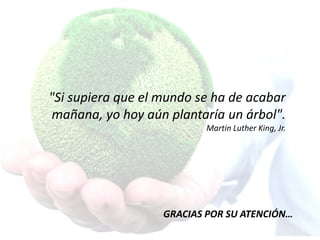 "Si supiera que el mundo se ha de acabar
mañana, yo hoy aún plantaría un árbol".
Martin Luther King, Jr.
GRACIAS POR SU ATENCIÓN…
 