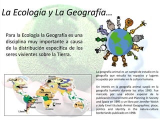 La Ecología y La Geografía…
Para la Ecología la Geografía es una
disciplina muy importante a causa
de la distribución específica de los
seres vivientes sobre la Tierra.
La geografía animal es un campo de estudio en la
geografía que estudia los espacios y lugares
ocupados por animales en la cultura humana.
Un interés en la geografía animal surgió en la
geografía humana durante los años 1990. Fue
marcado por una edición especial de la
publicación Environment and Planning D: Society
and Space en 1995 y un libro por Jennifer Wolch
y Jody Emel titulado Animal Geographies: place,
politics and identity in the nature-culture
borderlands publicado en 1998.
 