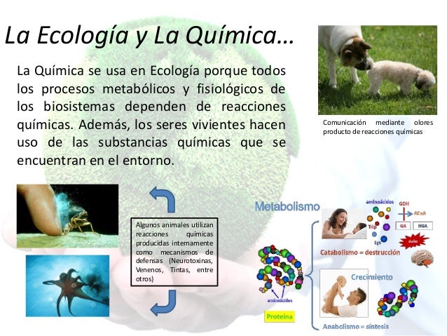 Ecología & educación ambiental