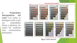 4. Propiedades
fisicoquímicas del
suelo: Los suelos se
distinguen entre sí por
sus propiedades
físicas y químicas, las
cuales les confieren
unas características
particulares.
Fig. 4. Tablas Munsell.
 