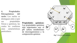 4. Propiedades
fisicoquímicas del
suelo: Los suelos se
distinguen entre sí por
sus propiedades
físicas y químicas, las
cuales les confieren
unas características
particulares.
Propiedades químicas:
Las propiedades químicas
más importantes son: el
pH (altera metabolismo
de microrganismos) y la
composición química. Fig. 7. Intercambio catiónico
 