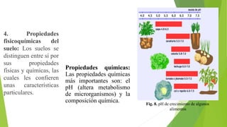 4. Propiedades
fisicoquímicas del
suelo: Los suelos se
distinguen entre sí por
sus propiedades
físicas y químicas, las
cuales les confieren
unas características
particulares.
Propiedades químicas:
Las propiedades químicas
más importantes son: el
pH (altera metabolismo
de microrganismos) y la
composición química. Fig. 8. pH de crecimiento de algunos
alimentos
 