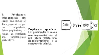 4. Propiedades
fisicoquímicas del
suelo: Los suelos se
distinguen entre sí por
sus propiedades
físicas y químicas, las
cuales les confieren
unas características
particulares.
Propiedades químicas:
Las propiedades químicas
más importantes son: el
pH (altera metabolismo
de microrganismos) y la
composición química.
 