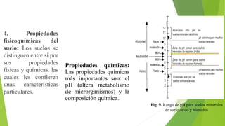 4. Propiedades
fisicoquímicas del
suelo: Los suelos se
distinguen entre sí por
sus propiedades
físicas y químicas, las
cuales les confieren
unas características
particulares.
Propiedades químicas:
Las propiedades químicas
más importantes son: el
pH (altera metabolismo
de microrganismos) y la
composición química.
Fig. 9. Rango de pH para suelos minerales
de suelo árido y húmedos
 