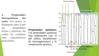 4. Propiedades
fisicoquímicas del
suelo: Los suelos se
distinguen entre sí por
sus propiedades
físicas y químicas, las
cuales les confieren
unas características
particulares.
Propiedades químicas:
Las propiedades químicas
más importantes son: el
pH (altera metabolismo
de microrganismos) y la
composición química.
Fig. 10. Disponibilidad de nutrientes
en relación del pH
Suelos ácidos
Suelos alcalinos
Micronutrientes
 