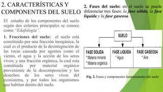 2. CARACTERÍSTICAS Y
COMPONENTES DEL SUELO
El estudio de los componentes del suelo
según dos criterios principales se conoce
como “Edafología”.
1. Fracciones del suelo: el suelo está
constituido por una fracción inorgánica, la
cual es el producto de la desintegración de
las rocas causada por agentes como el
viento, el agua y la acción de los seres
vivos; y una fracción orgánica, la cual esta
constituida por material orgánico
proveniente de la descomposición y los
desechos de los seres vivos del
ecosistema, y por todos los organismos
que habitan dentro del suelo.
2. Fases del suelo: en el suelo se puede
diferenciar tres fases: la fase sólida, la fase
líquida y la fase gaseosa.
Fig. 2. Fases y componentes fundamentales del suelo
 