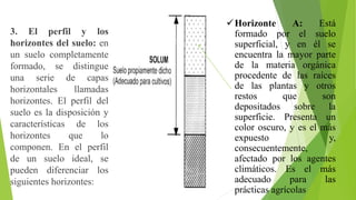3. El perfil y los
horizontes del suelo: en
un suelo completamente
formado, se distingue
una serie de capas
horizontales llamadas
horizontes. El perfil del
suelo es la disposición y
características de los
horizontes que lo
componen. En el perfil
de un suelo ideal, se
pueden diferenciar los
siguientes horizontes:
Horizonte A: Está
formado por el suelo
superficial, y en él se
encuentra la mayor parte
de la materia orgánica
procedente de las raíces
de las plantas y otros
restos que son
depositados sobre la
superficie. Presenta un
color oscuro, y es el más
expuesto y,
consecuentemente,
afectado por los agentes
climáticos. Es el más
adecuado para las
prácticas agrícolas
 