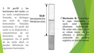 3. El perfil y los
horizontes del suelo: en
un suelo completamente
formado, se distingue
una serie de capas
horizontales llamadas
horizontes. El perfil del
suelo es la disposición y
características de los
horizontes que lo
componen. En el perfil
de un suelo ideal, se
pueden diferenciar los
siguientes horizontes:
Horizonte B: Constituye
la capa intermedia, y
suele estar también
altamente meteorizado.
De color más claro, en él
se sitúan raíces de los
arbustos y árboles. El
contenido en materia
orgánica es mucho menor.
 
