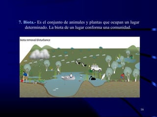 16
7. Biota.- Es el conjunto de animales y plantas que ocupan un lugar
determinado. La biota de un lugar conforma una comunidad.
 