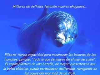 Millares de delfines también mueren ahogados...  Ellos no tienen capacidad para reconocer las basuras de los humanos, porque, "todo lo que se mueve en el mar se come". El tapón plástico de una botella, de mayor consistencia que la bolsa plástica, puede permanecer inalterada, navegando en las aguas del mar más de un siglo. 