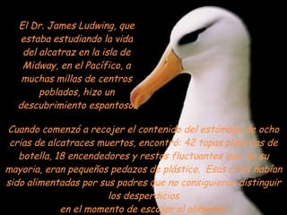 Cuando comenzó a recojer el contenido del estómago de ocho crias de alcatraces muertos, encontró: 42 tapas plásticas de botella, 18 encendedores y restos fluctuantes que, en su mayoria, eran pequeños pedazos de plástico.  Esas crias habían sido alimentadas por sus padres que no consiguieran distinguir los desperdicios en el momento de escojer el alimento. El Dr. James Ludwing, que estaba estudiando la vida del alcatraz en la isla de Midway, en el Pacífico, a muchas millas de centros poblados, hizo un descubrimiento espantoso. 