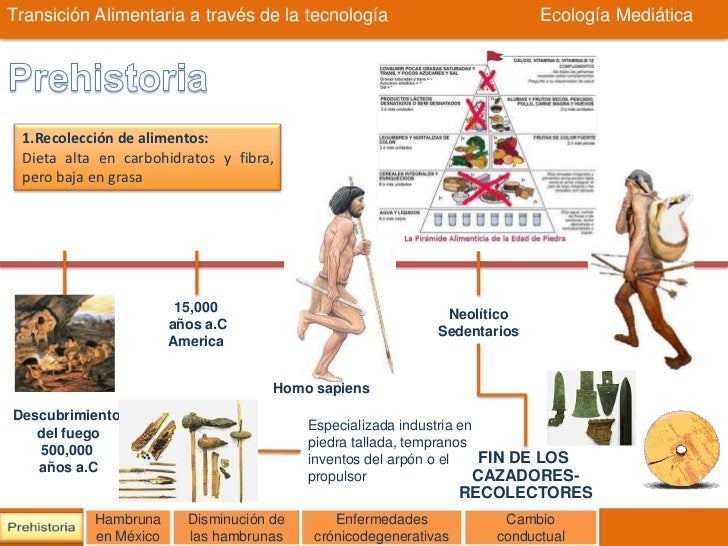 Resultado de imagen para linea de tiempo alimentos