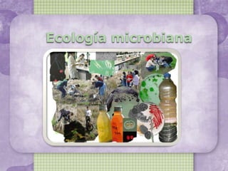 Ecología microbiana
 