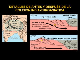 DETALLES DE ANTES Y DESPUÉS DE LA
   COLISIÓN INDIA-EUROASIÁTICA
 